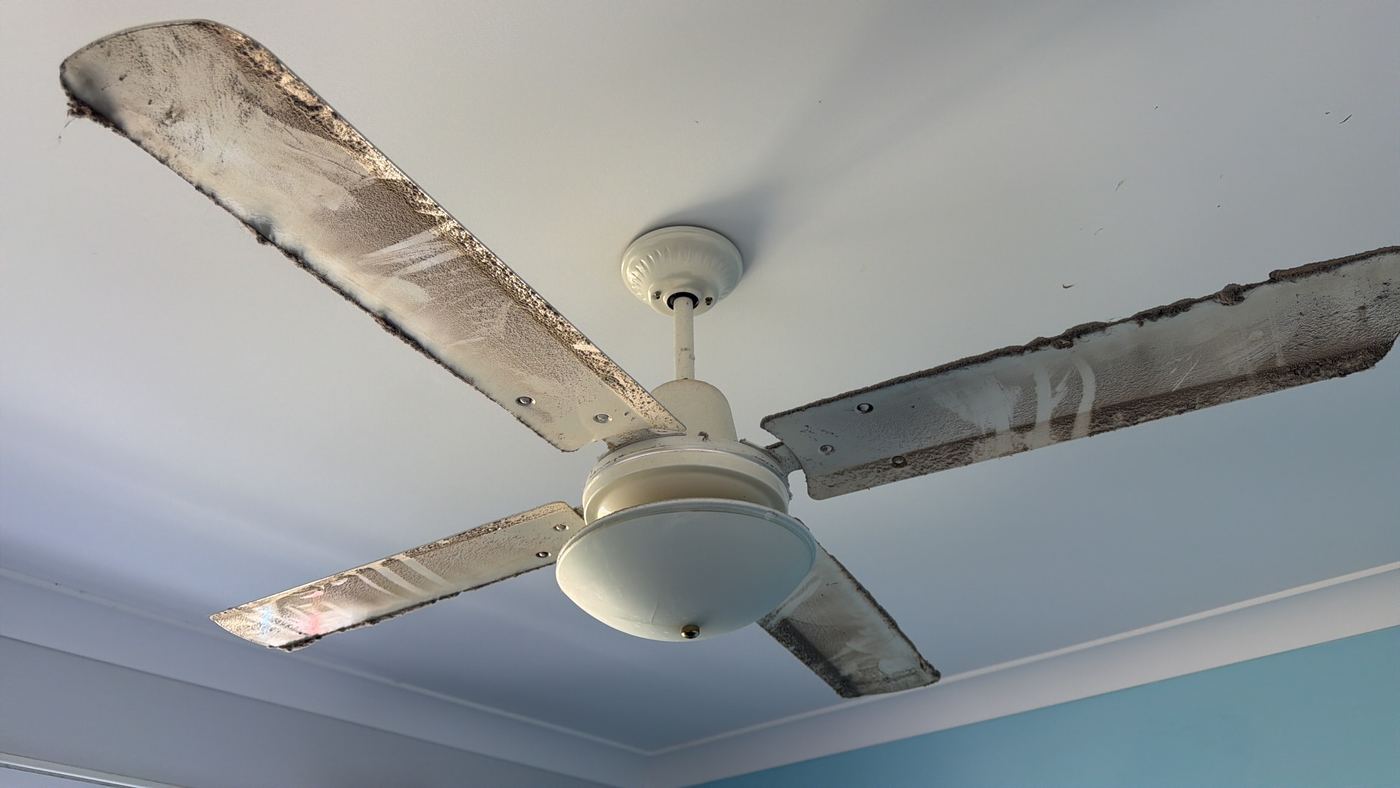 Before cleaning photo 5